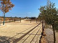 Belle maison rurale avec piscine à Pinoso in Spanish Fincas