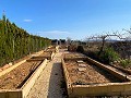 Belle maison rurale avec piscine à Pinoso in Spanish Fincas