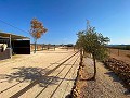 Belle maison rurale avec piscine à Pinoso in Spanish Fincas