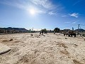 Charmante Villa met Zomerse Keuken en Gastenhuis op 15 Minuten van het Strand in Spanish Fincas