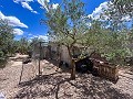 Magnifica villa con piscina en Hondon De Los Frailes in Spanish Fincas