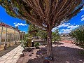 Magnifica villa con piscina en Hondon De Los Frailes in Spanish Fincas