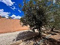 Magnifica villa con piscina en Hondon De Los Frailes in Spanish Fincas