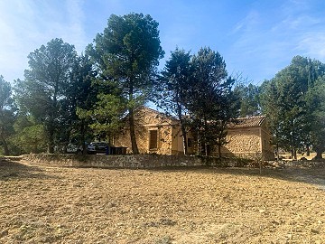 Magnifique ferme équestre hors réseau à Almansa