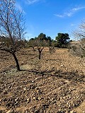 Prachtige off-grid paardenboerderij in Almansa in Spanish Fincas