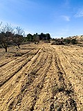 Prachtige off-grid paardenboerderij in Almansa in Spanish Fincas