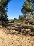 Prachtige off-grid paardenboerderij in Almansa in Spanish Fincas