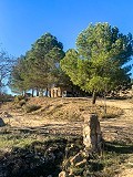 Prachtige off-grid paardenboerderij in Almansa in Spanish Fincas