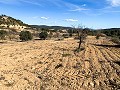 Prachtige off-grid paardenboerderij in Almansa in Spanish Fincas