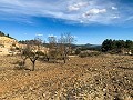 Prachtige off-grid paardenboerderij in Almansa in Spanish Fincas