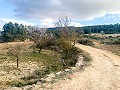 Prachtige off-grid paardenboerderij in Almansa in Spanish Fincas