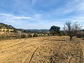 Prachtige off-grid paardenboerderij in Almansa in Spanish Fincas