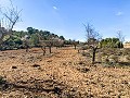 Prachtige off-grid paardenboerderij in Almansa in Spanish Fincas