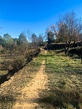 Prachtige off-grid paardenboerderij in Almansa in Spanish Fincas