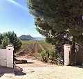 Exclusieve off-grid villa op de top van de berg in Villena in Spanish Fincas