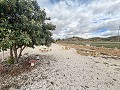 Prachtig rustiek huis met zwembad en bar in Spanish Fincas