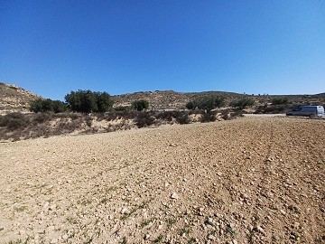 Terreno en venta en Pinoso.