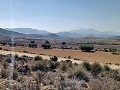 Terrain à vendre à Pinoso. in Spanish Fincas