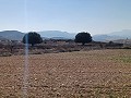 Land for sale in Pinoso. in Spanish Fincas