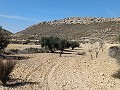 Terrain à vendre à Pinoso. in Spanish Fincas