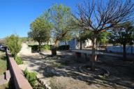 Villa in yecla with 100.000M2 Organic Olive farm, great business opportunity.   in Spanish Fincas