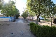 Villa in yecla with 100.000M2 Organic Olive farm, great business opportunity.   in Spanish Fincas