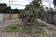 Gereformeerd dorpshuis in Chinorlet in Spanish Fincas