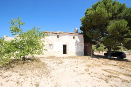 Maison de campagne avec 100.000M2 d'olives et d'amandes