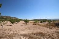 Landhaus mit 100.000 M2 Oliven und Mandeln in Spanish Fincas