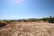 Maison de campagne avec 100.000M2 d'olives et d'amandes in Spanish Fincas