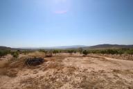 Maison de campagne avec 100.000M2 d'olives et d'amandes in Spanish Fincas