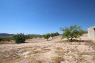 Landhaus mit 100.000 M2 Oliven und Mandeln in Spanish Fincas