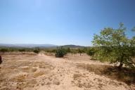 Maison de campagne avec 100.000M2 d'olives et d'amandes in Spanish Fincas