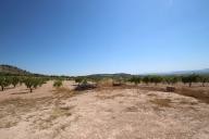 Maison de campagne avec 100.000M2 d'olives et d'amandes in Spanish Fincas