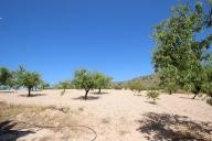 Maison de campagne avec 100.000M2 d'olives et d'amandes in Spanish Fincas