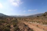 Non Building plot in Encebras Pinoso  in Spanish Fincas