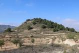 Non Building plot in Encebras Pinoso  in Spanish Fincas