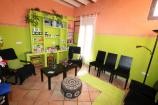 Bed and breakfast business in Pinoso  in Spanish Fincas
