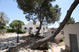 Villa Pozo Blanco, Home on the Ranch in Spanish Fincas