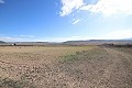 Large plot of land with a ruin in Yecla, Murcia in Spanish Fincas