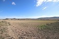 Gran terreno con ruinas en Yecla, Murcia in Spanish Fincas