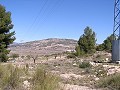 Terreno edificable en Pinoso in Spanish Fincas