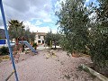 Incroyable maison de campagne entièrement réformée à Salinas (près de Sax) in Spanish Fincas