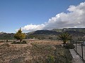 Erstaunliche Villa mit Pool in Yecla in Spanish Fincas