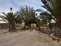 Fantastic country house to reform near pinoso  in Spanish Fincas