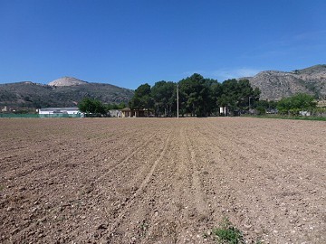 Aspe, plot for sale! - Building Plots for sale in Aspe, Alicante | Alicante, Aspe