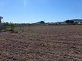 Aspe, terrain à vendre ! - Terrains à bâtir à vendre à Aspe, Alicante | Alicante, Aspé in Spanish Fincas