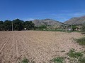 Aspe, plot for sale! - Building Plots for sale in Aspe, Alicante | Alicante, Aspe in Spanish Fincas