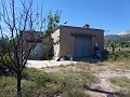 Aspe, perceel te koop! - Bouwgronden te koop in Aspe, Alicante | Alicante, Aspe in Spanish Fincas