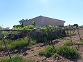 Aspe, perceel te koop! - Bouwgronden te koop in Aspe, Alicante | Alicante, Aspe in Spanish Fincas